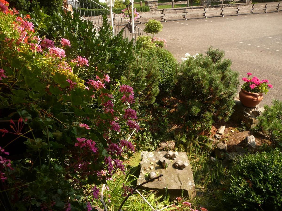 Hotel "Woiler Hof" Garni Eslohe Zewnętrze zdjęcie